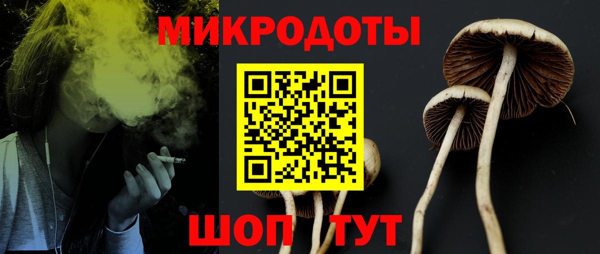 Псилоцибиновые грибы Psilocybine cubensis  Вход с VPN  Галлюциногенные грибы MAGIC MUSHROOMS  как найти   Заинск 